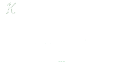 klaas van dijk logo wit.png