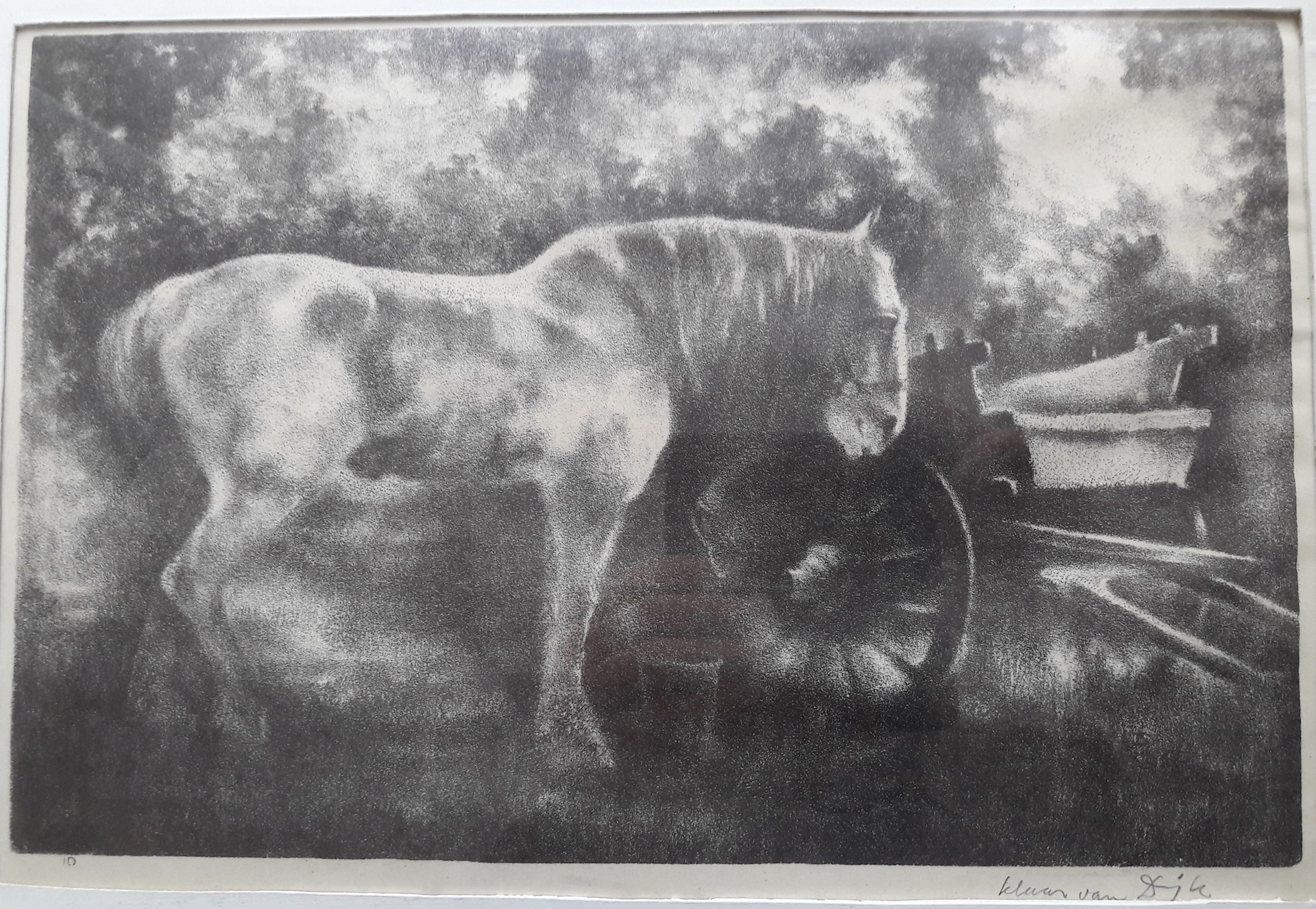 Klaas litho paard.jpg