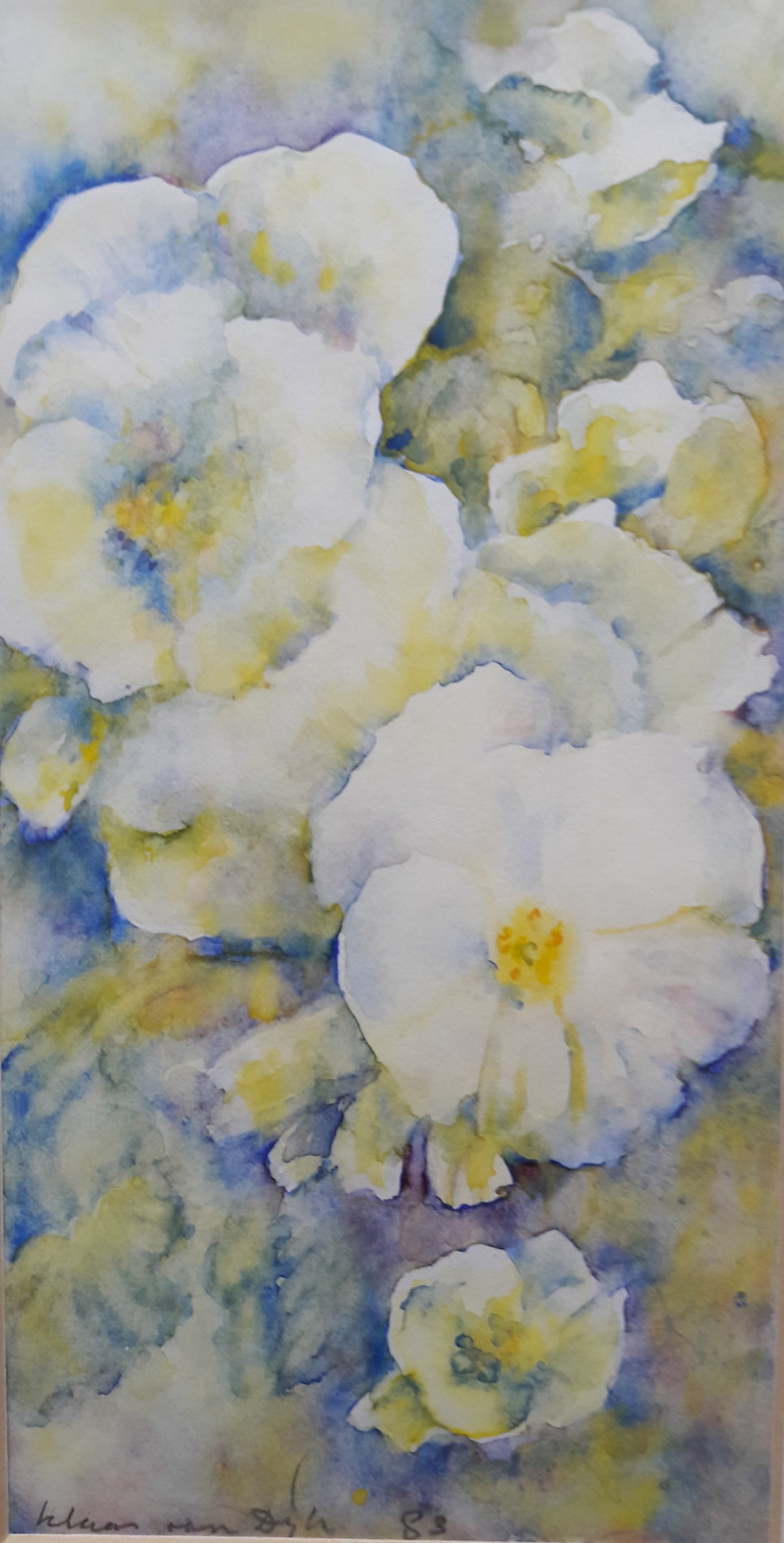 Klaas winde aquarel.jpg